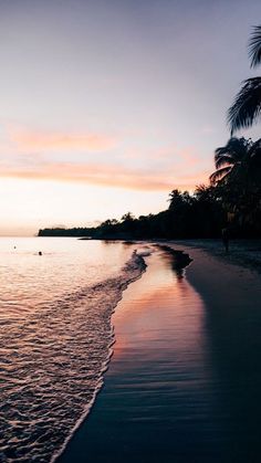 the sun is setting on the beach with palm trees in the foreground and water at the far end