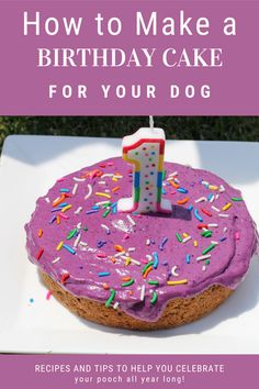 a birthday cake with purple icing and sprinkles on it is the title how to make a birthday cake for your dog