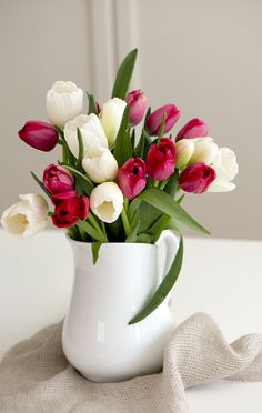 a white pitcher filled with red and white tulips