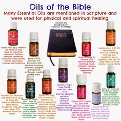 Oils Of The Bible, Oil Therapy, Women's Retreat, Anointing Oil, What Are Essential Oils, Yl Oils