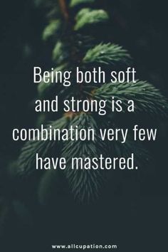 a pine tree with the words being both soft and strong is a combination very few have mastered