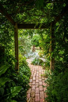 a brick path in the middle of a lush green garden