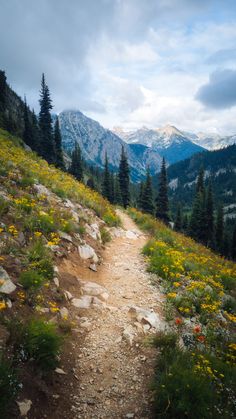 hiking trail and mountain views in Washington USA Washington State Hikes, Beginner Hiking, Washington Hikes, Gili Trawangan, Arte 8 Bits, Photographie Portrait Inspiration, Landscape Photography Nature, Pretty Landscapes, Beautiful Mountains