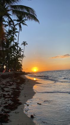 the sun is setting over the ocean with palm trees