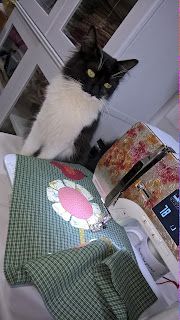 a black and white cat sitting on top of a bed