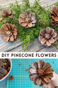 pinecone flowers are the perfect way to decorate your home for christmas or any holiday