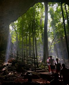 people walking up stairs in the woods with sunlight streaming through trees and rocks on either side