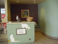 a cat sitting on top of a counter in a store