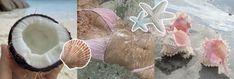 a person holding up a coconut next to an image of seashells and starfish