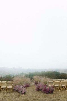 an empty field with chairs and flowers in the foreground on a foggy day