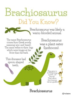 a poster with an image of a dinosaur and the words brachiosaurusus, did you know?