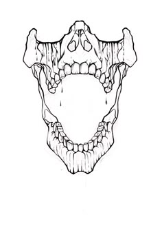 a drawing of a skull with teeth on it's face and the lower jaw