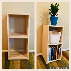 two shelves with books and a potted plant next to each other on carpeted floor