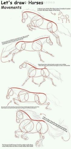 how to draw horses step by step