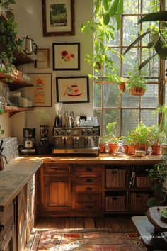 a kitchen with lots of potted plants in the window sill next to it