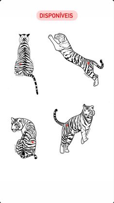 4 desenhos de tigres para inspirar sua tatuagens Pokemon Tattoos, Pokemon World, Tiger Tattoos, Old Pokemon, Cute Cat Tattoo, Celestial Tattoo, Leopard Tattoos, Sak Yant Tattoo