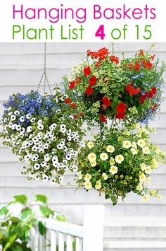 three hanging baskets filled with different colored flowers