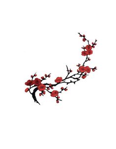 a branch with red flowers on it against a white background