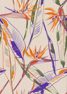 an image of colorful leaves and plants on a white background with orange, purple, green and blue colors