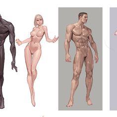 three different types of male and female body shapes