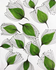 green leaves are arranged on white paper