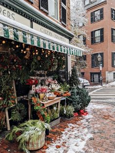 an outdoor market with christmas decorations and plants on display in the snow, surrounded by brick buildings