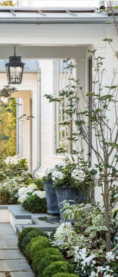 a white house with lots of potted plants and trees in the front garden area