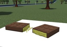 two pieces of chocolate sitting on top of a white surface next to trees and grass