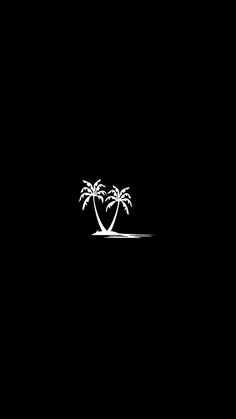 two palm trees in the middle of a black background