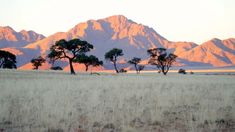 the mountains are in the distance with trees and grass on the foreground, near an open field