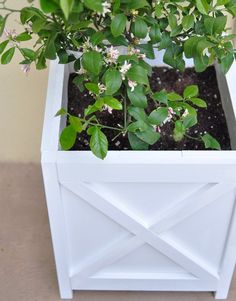 a white planter filled with plants on top of a table