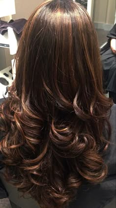 Curls In Layered Hair, Curls For Layered Hair, Curled Hair With Layers, Medium Length Brown Hair With Highlights Caramel, Chunky Brown Highlights, Wavy Hair Dyed, Hair Dye On Brown Hair, Highlights Layered Hair, Caramel Colored Hair