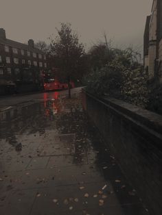 a city street that has fallen leaves on the ground