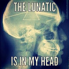 a skull with a hat on it's head and the words, the luniatic is in my head