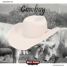 #westpointhats_usa 
It’s on u
#felthat #felthats #cowboy #hat 
#premiumwool #beaverhat 
#westpointhats🤠 
#sombreroswestpoint 

Wapp 4761233084
tienda.westpointhats.com 
westpointhats.com Beaver Hat, Cowboy Hat