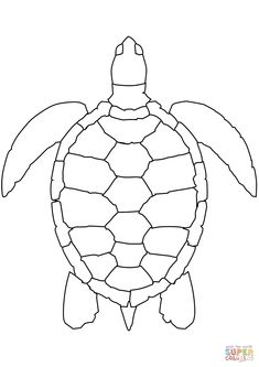 a drawing of a sea turtle