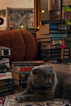 a gray cat laying on top of a pile of books