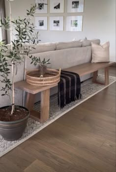 a living room with a couch, table and potted plant on the floor next to it