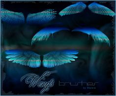 an image of wings in the air with blue and green colors on it's wings