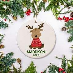 a personalized christmas ornament with a reindeer wearing a red sweater on it