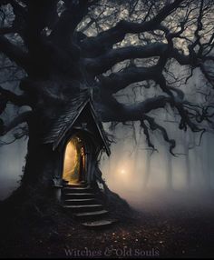 a tree with stairs leading up to it in the middle of a dark forest at night