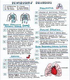 the human body and its functions