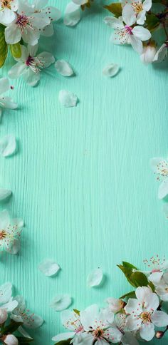 an overhead view of flowers and leaves on a blue wooden background with space for text