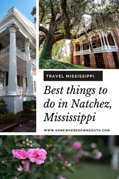 the best things to do in natchez, mississippi