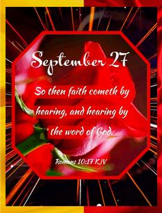 a red rose with a bible verse in the middle and an image of fireworks behind it