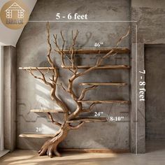 a tree is standing in front of a wall with shelves and ladders on it