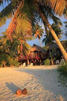 a house on the beach with palm trees