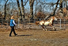 a woman walking behind a white and brown horse in a fenced area next to trees