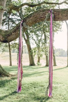 a pink ribbon tied to a tree in the grass