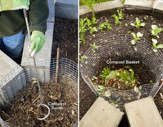 two pictures side by side one shows a garden and the other shows compost basket